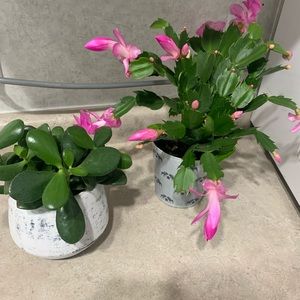 Meet your Posher, Christa